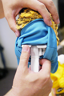 ���������꡼ No.037�Υ���ͥ������ / 2023ǯ����ɽ�������Ū�ʴ�񤬥���ȥ꡼�������ܤ���������2023 �ǽ�������ץ�ݡ���