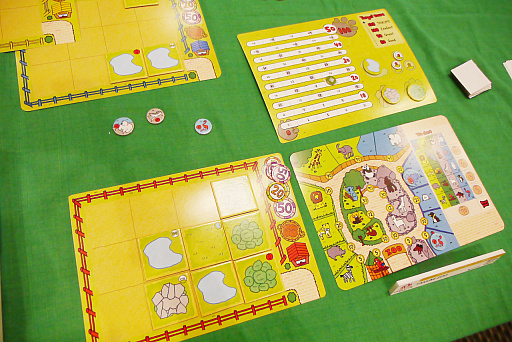 ���������꡼ No.054�Υ���ͥ������ / 2023ǯ����ɽ�������Ū�ʴ�񤬥���ȥ꡼�������ܤ���������2023 �ǽ�������ץ�ݡ���