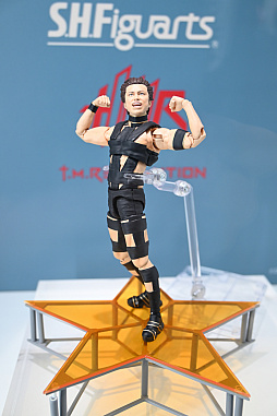 ꡼ No.037Υͥ / ֥פ֥󡦲̥饤פʤɡ˥ûʤκǿե奢ŸTAMASHII NATIONS15ǯǰ٥Ȥ