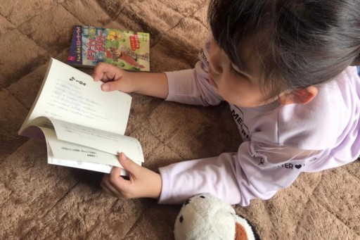 噂の100円ゲームブックを,6歳の娘と遊んでみる。DAISO発「きみが