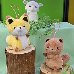 ꡼ No.125Υͥ / ־νNIKKEפ֥̼ ץƥӡפΥå⡣72ץ饤եץեȥݡ