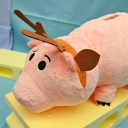 ꡼ No.140 | ־νNIKKEפ֥̼ ץƥӡפΥå⡣72ץ饤եץեȥݡ