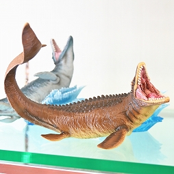 ꡼ No.293 | ־νNIKKEפ֥̼ ץƥӡפΥå⡣72ץ饤եץեȥݡ