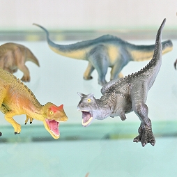 ꡼ No.294 | ־νNIKKEפ֥̼ ץƥӡפΥå⡣72ץ饤եץեȥݡ