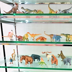 ꡼ No.295 | ־νNIKKEפ֥̼ ץƥӡפΥå⡣72ץ饤եץեȥݡ