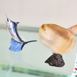 ꡼ No.301 | ־νNIKKEפ֥̼ ץƥӡפΥå⡣72ץ饤եץեȥݡ