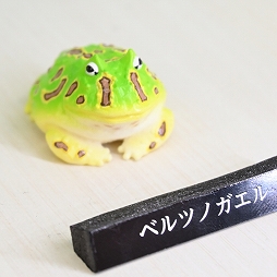 ꡼ No.304 | ־νNIKKEפ֥̼ ץƥӡפΥå⡣72ץ饤եץեȥݡ