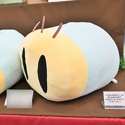 ꡼ No.342 | ־νNIKKEפ֥̼ ץƥӡפΥå⡣72ץ饤եץեȥݡ