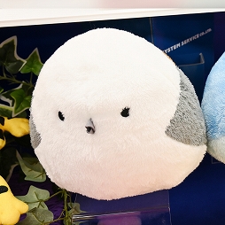 ꡼ No.407 | ־νNIKKEפ֥̼ ץƥӡפΥå⡣72ץ饤եץեȥݡ