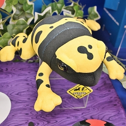 ꡼ No.409 | ־νNIKKEפ֥̼ ץƥӡפΥå⡣72ץ饤եץեȥݡ