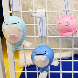 ꡼ No.446 | ־νNIKKEפ֥̼ ץƥӡפΥå⡣72ץ饤եץեȥݡ