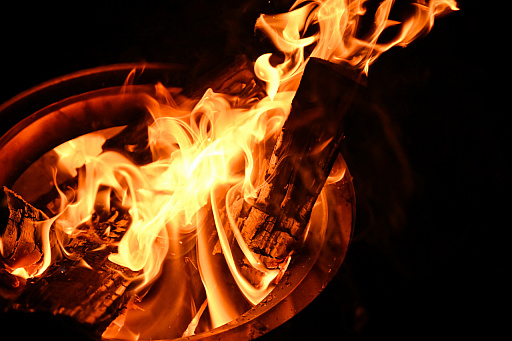 ꡼ No.001Υͥ / ߥ졼Ĥä