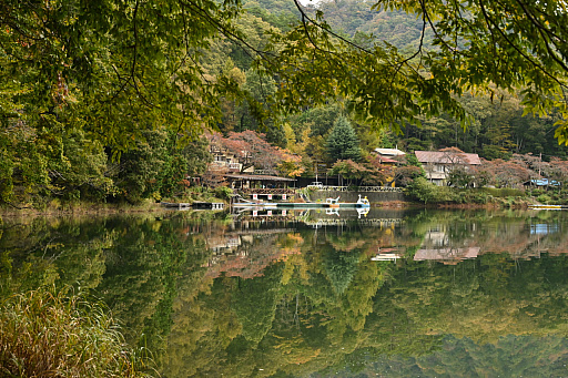 ꡼ No.003Υͥ / ߥ졼Ĥä