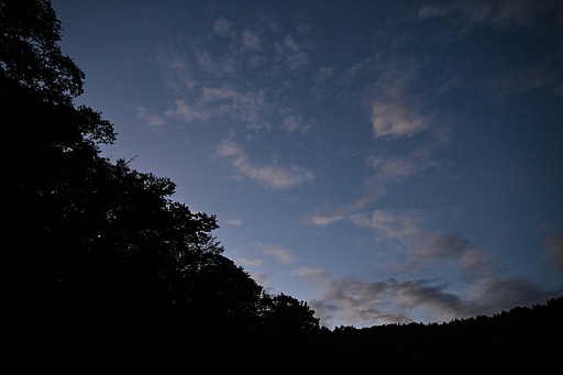 ꡼ No.006Υͥ / ߥ졼Ĥä