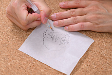 ꡼ No.019Υͥ / ߥ졼Ĥä