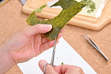 ꡼ No.027Υͥ / ߥ졼Ĥä