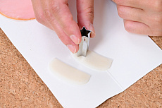 ꡼ No.029Υͥ / ߥ졼Ĥä