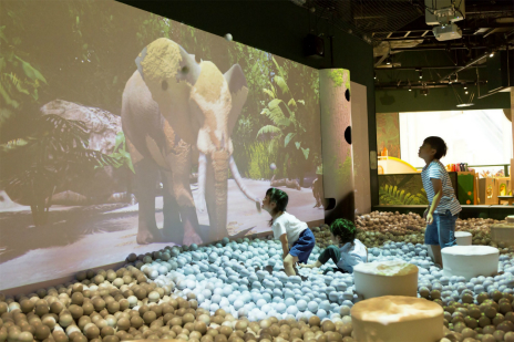 ꡼ No.008Υͥ / Хʥॳߥ塼ȡҥץǥ塼Υݡĥ󥿥ߤ͡ϻåɤ˳