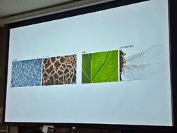 ꡼ No.008 | CEDEC+KYUSHUϥ󥹥ԥ졼ɤǥȤफֱ2D3D󥻥ץȥƥȤηи̤ȥץ