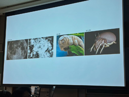 ꡼ No.009 | CEDEC+KYUSHUϥ󥹥ԥ졼ɤǥȤफֱ2D3D󥻥ץȥƥȤηи̤ȥץ