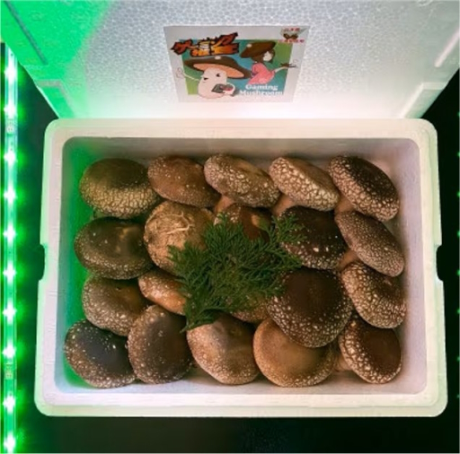 画像ギャラリー No.025のサムネイル画像 / ゲーマー向けふるさと納税ガイド。返礼品はゲームソフトにPC,液晶ディスプレイ,さらにはお酒やおせちまで!