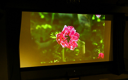 ꡼ No.026 | 祹꡼ǥ䤷褷褦ȥ󥿥륷ɤ165̤ǻΤҤȤȤ̣廊夬褿