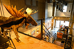 ꡼ No.029 | 祹꡼ǥ䤷褷褦ȥ󥿥륷ɤ165̤ǻΤҤȤȤ̣廊夬褿