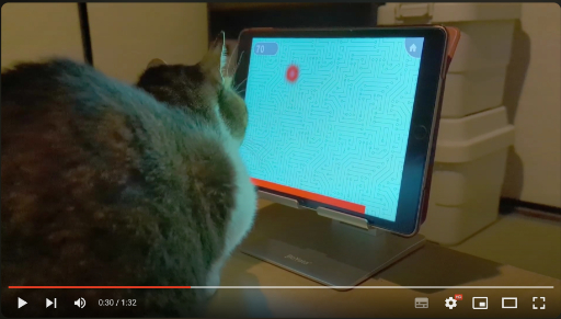 ꡼ No.035 | ͥѤ㥢ץ5ʤ2ɤΥͥӥ塼٤ʤΡ֥ͥץפ򾡼˳š