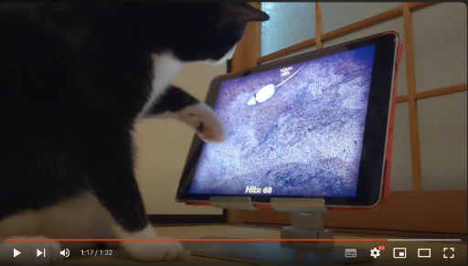 ꡼ No.037 | ͥѤ㥢ץ5ʤ2ɤΥͥӥ塼٤ʤΡ֥ͥץפ򾡼˳š