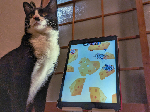 ꡼ No.039 | ͥѤ㥢ץ5ʤ2ɤΥͥӥ塼٤ʤΡ֥ͥץפ򾡼˳š