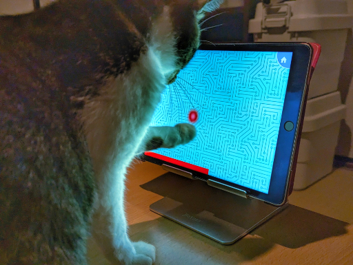 ꡼ No.040 | ͥѤ㥢ץ5ʤ2ɤΥͥӥ塼٤ʤΡ֥ͥץפ򾡼˳š