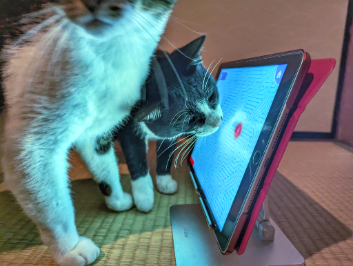 ꡼ No.041 | ͥѤ㥢ץ5ʤ2ɤΥͥӥ塼٤ʤΡ֥ͥץפ򾡼˳š