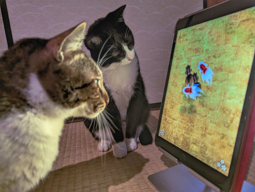 ꡼ No.043 | ͥѤ㥢ץ5ʤ2ɤΥͥӥ塼٤ʤΡ֥ͥץפ򾡼˳š