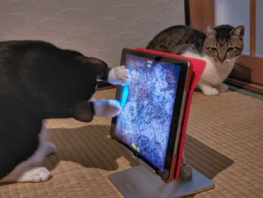 ꡼ No.045 | ͥѤ㥢ץ5ʤ2ɤΥͥӥ塼٤ʤΡ֥ͥץפ򾡼˳š