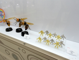 ꡼ No.018 | 餦Ǿǲ󤹡ιʬڤ롼̤Υݥ󤬤֥ݥEXPO 2024ݥ̤򸫤˹Ԥθݡ