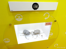 ꡼ No.031 | 餦Ǿǲ󤹡ιʬڤ롼̤Υݥ󤬤֥ݥEXPO 2024ݥ̤򸫤˹Ԥθݡ