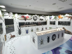 ꡼ No.056 | 餦Ǿǲ󤹡ιʬڤ롼̤Υݥ󤬤֥ݥEXPO 2024ݥ̤򸫤˹Ԥθݡ