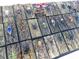 ꡼ No.058 | 餦Ǿǲ󤹡ιʬڤ롼̤Υݥ󤬤֥ݥEXPO 2024ݥ̤򸫤˹Ԥθݡ