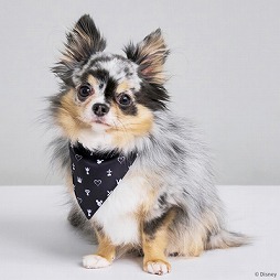 ���������꡼ No.011�Υ���ͥ������ / �ɥ饯����FF��KH�Υڥå��ѥ��å����о졣�������ˡ��ڥåȥ��å��֥��ɡ�SQEX PETs�פ�Ÿ��