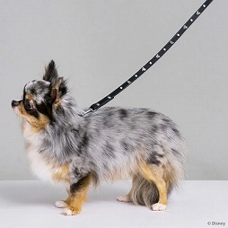 ���������꡼ No.013�Υ���ͥ������ / �ɥ饯����FF��KH�Υڥå��ѥ��å����о졣�������ˡ��ڥåȥ��å��֥��ɡ�SQEX PETs�פ�Ÿ��