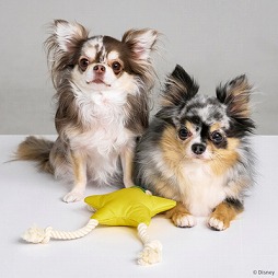 ���������꡼ No.015�Υ���ͥ������ / �ɥ饯����FF��KH�Υڥå��ѥ��å����о졣�������ˡ��ڥåȥ��å��֥��ɡ�SQEX PETs�פ�Ÿ��