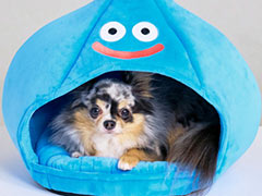 �ɥ饯����FF��KH�Υڥå��ѥ��å����о졣�������ˡ��ڥåȥ��å��֥��ɡ�SQEX PETs�פ�Ÿ��