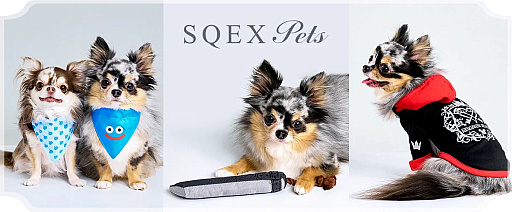꡼ No.001Υͥ / DQFFKHθǭåSQEX PETsפ򸫤Ƥ⤷˥󥢥ƥिΡȥ󥿡ڥå2024