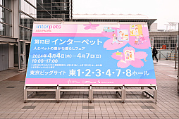 ꡼ No.004Υͥ / DQFFKHθǭåSQEX PETsפ򸫤Ƥ⤷˥󥢥ƥिΡȥ󥿡ڥå2024