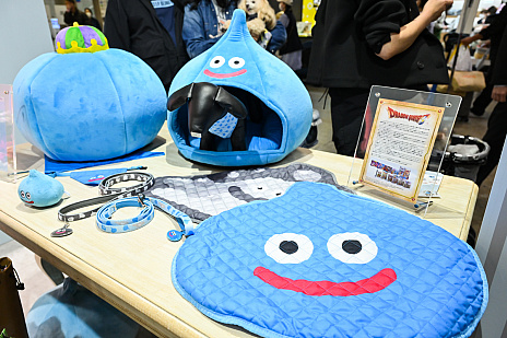 ꡼ No.008Υͥ / DQFFKHθǭåSQEX PETsפ򸫤Ƥ⤷˥󥢥ƥिΡȥ󥿡ڥå2024