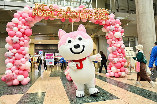 ꡼ No.012Υͥ / DQFFKHθǭåSQEX PETsפ򸫤Ƥ⤷˥󥢥ƥिΡȥ󥿡ڥå2024