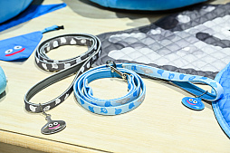 ꡼ No.017Υͥ / DQFFKHθǭåSQEX PETsפ򸫤Ƥ⤷˥󥢥ƥिΡȥ󥿡ڥå2024