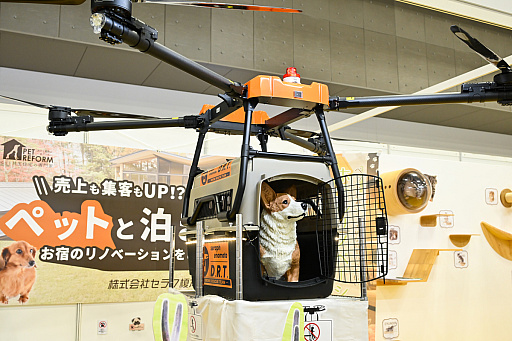 ꡼ No.028Υͥ / DQFFKHθǭåSQEX PETsפ򸫤Ƥ⤷˥󥢥ƥिΡȥ󥿡ڥå2024