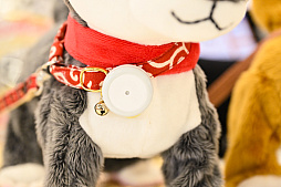 ꡼ No.030Υͥ / DQFFKHθǭåSQEX PETsפ򸫤Ƥ⤷˥󥢥ƥिΡȥ󥿡ڥå2024