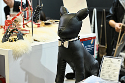 ꡼ No.034Υͥ / DQFFKHθǭåSQEX PETsפ򸫤Ƥ⤷˥󥢥ƥिΡȥ󥿡ڥå2024